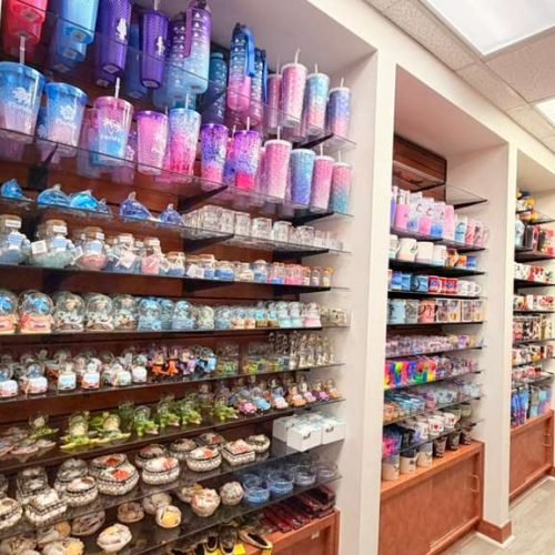 whatsapp image 2026 01 15 at 6.59.09 am (1)