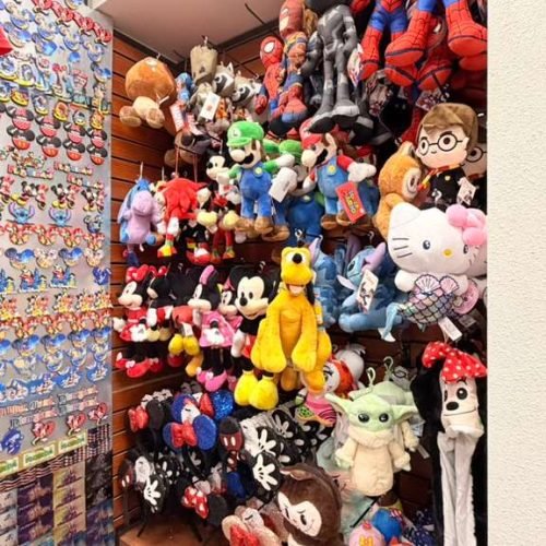 whatsapp image 2026 01 15 at 6.59.10 am (2)