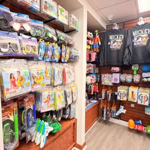 whatsapp image 2026 01 15 at 6.59.27 am